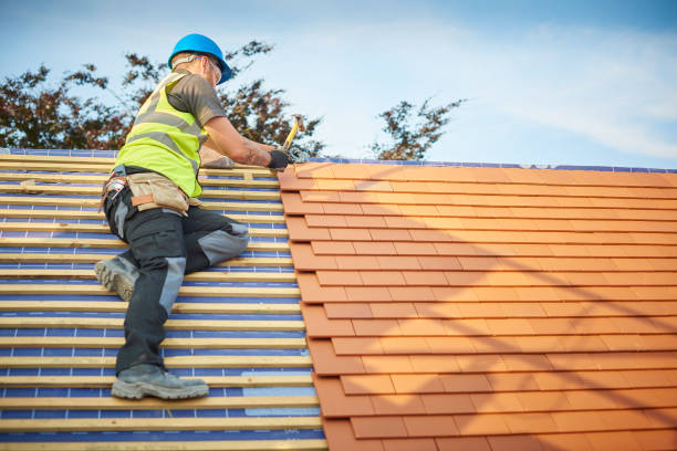 Best Roof Insulation Installation  in Farmersville, OH
